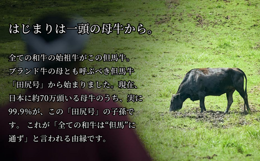 【但馬牛 究極の但馬牛 サーロインステーキ1kg 冷蔵】「満天 青空レストラン」で紹介されました！但馬玄 マグロのようなあっさり 牛肉 しゃぶしゃぶ すきやき 焼肉 ブランド 和牛 香美町 村岡 上田畜産 165,000円 01-09