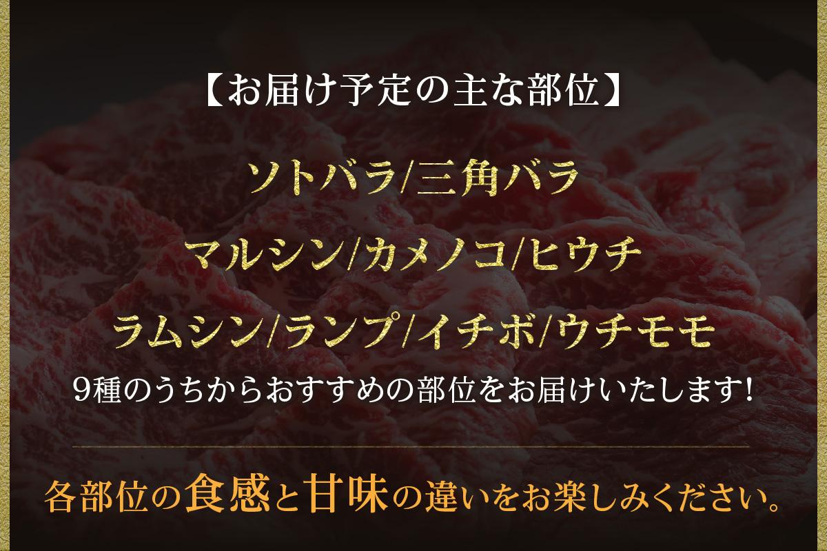 《12/21まで年内発送》【但馬牛 焼肉食べ比べ おすすめ3種盛り 合計600g】冷凍 黒毛和牛 ルーツ 香美町 産地直送 セット 国産 牛肉 ステーキ しゃぶしゃぶ すき焼き バーベキュー キャンプ 焼肉 和牛 ふるさと納税 おすすめ 返礼品 但馬 神戸 兵庫県 香美町 村岡 牛将 村岡ファームガーデン 02-17