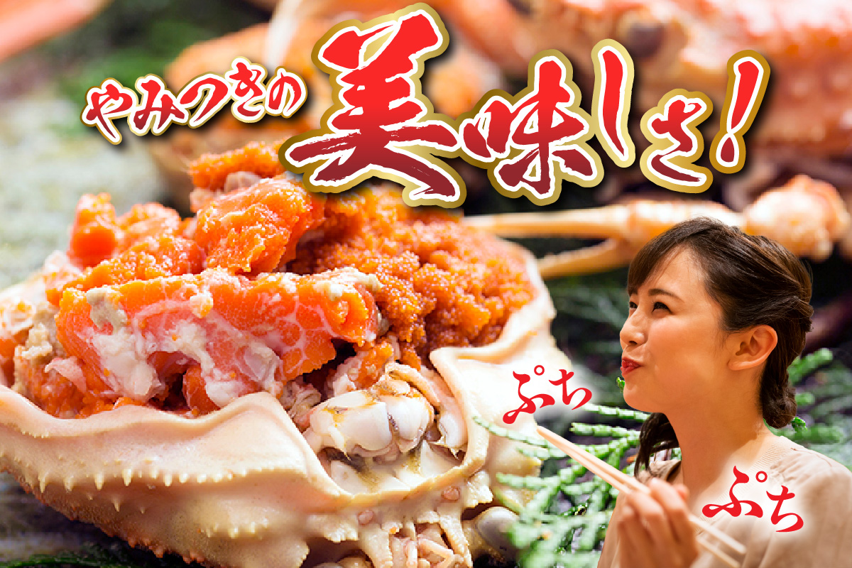 【訳あり セコガニボイル（冷凍）7匹】カニ かに 蟹 松葉がに 松葉ガニ せこがに せいこがに メスガニ 外子 内子 卵 カニ味噌 濃厚 急速冷凍 浜茹 数量限定 産地直送 鮮度抜群 大人気 リピーター続出 やみつき 香美町 香住 柴山 国産 04-06