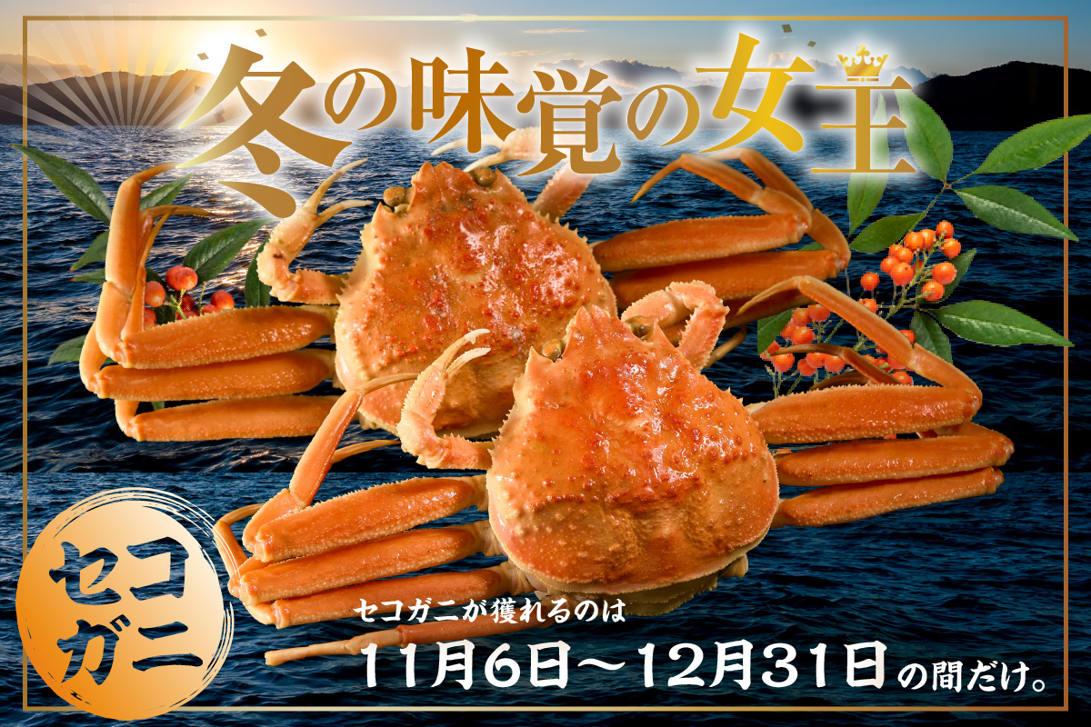 【先行予約】【カネニの浜茹でセコガニ 大セコ 3匹入】令和7年11月中旬以降、水揚げ次第順次発送予定 冷蔵 濃厚なカニ味噌 やみつきになる内子 外子 絶品 浜茹で 産地直送 鮮度抜群 香美町 香住 柴山 送料無料 カニ 松葉ガニ せいこがに メスガニ 親ガニ カネニ 06-19 