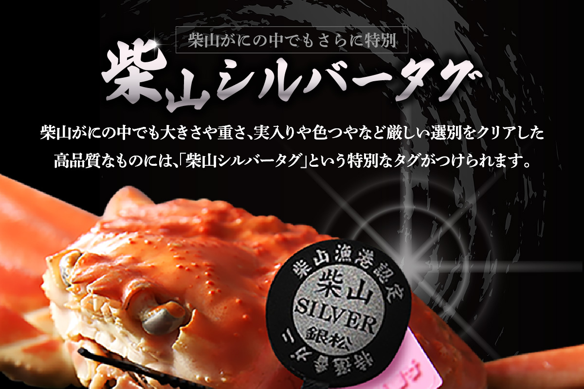 【先行予約】【カネニの浜茹で柴山がに 柴山シルバータグ付き ボイル後1.15kg以上】 令和7年11月中旬以降、水揚げ次第順次発送予定 冷蔵 高級 かにすき 焼きガニ カニ ボイル 兵庫県 香美町 香住 柴山 カネニ 06-23