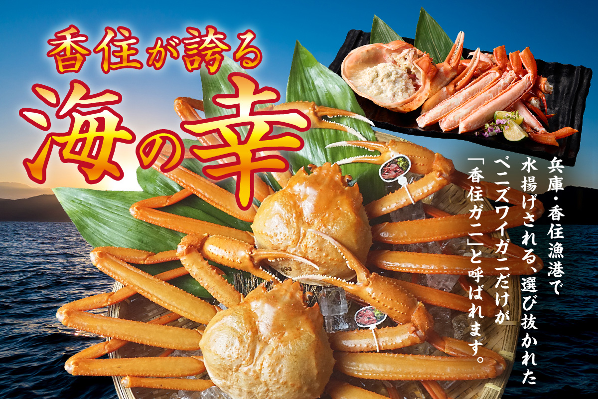【先行予約】【香住ガニ 活〆タグ付き香住ガニ 超特大 約1.2kg×2匹（合計約2.4kg以上）生冷凍】令和8年2月中旬以降、順次発送予定 大人気 おすすめ ランキング 国産 カニの本場 香住 急速冷凍 ベニズワイガニ カニ かに 香美 しゃぶしゃぶ 刺身 かにすき 焼きガニ 蟹 兵庫県 香美町 香住 日本海フーズ 07-136