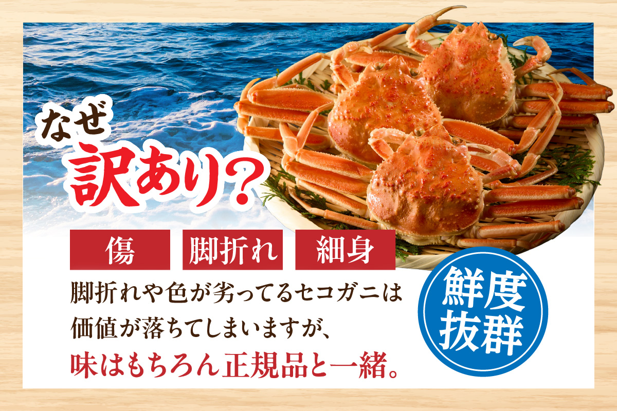 セコガニ 訳あり 約120g×8匹 冷凍 かに カニ 香美町 07-09  8匹