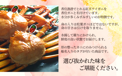 活〆 タグ付き 香住ガニ 特々大 約1.0kg×2匹（合計約2.0kg以上）冷凍 【令和8年2月中旬以降発送予定】 大人気 返礼品 おすすめ ランキング 国産 カニ かに 蟹 本場 香住 急速冷凍 ベニズワイガニ しゃぶしゃぶ 刺身 かにすき 焼きガニ ふるさと納税 兵庫県 香美町 日本海フーズ 40000円 KMG 07-114