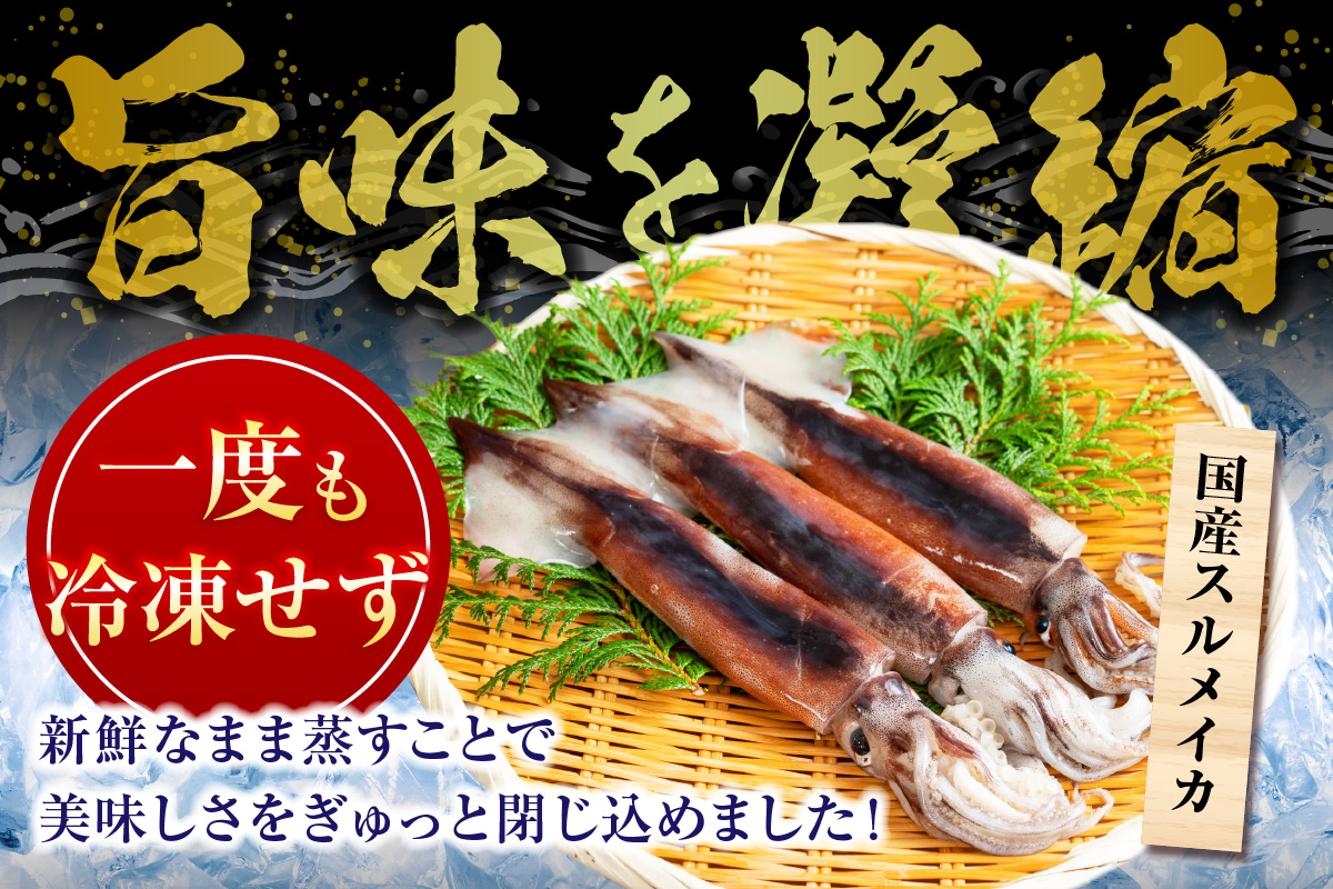 【 串イカ 6尾入り（約100g～130g×6尾）冷凍 】 新鮮 旨味 凝縮 イカ焼き 食べ応え 抜群 いか 串 スチーム 蒸しイカ バーベキュー 焼肉 鉄板焼き BBQ キャンプ 国産 兵庫県 香美町 香住 香住漁港 モリタ食品 10-10 6尾