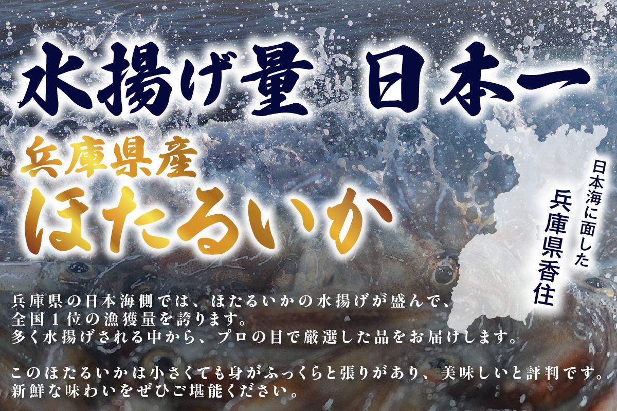 ほたるいか ボイル 小分け 250g×4パック 1kg 酢味噌付 冷蔵【令和8年3月以降発送予定】兵庫県 香美町 モリタ食品 10-14