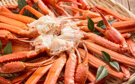 【訳あり 茹切 香住ガニ7～9肩（約1kg）冷蔵】カニの水揚げ次第順次発送予定 カニの本場 香住 1～2本指落ち、キズがあります。香住ガニの甘み、旨みを存分にお楽しみいただけるよう冷凍をしていないカニをお届けします 足 爪 身 脚 ボイル かに カニ 蟹 ベニズワイガニ 人気 ふるさと納税 兵庫県 香美町 マルヤ 15000円 11-17