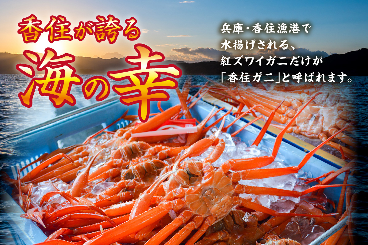 訳あり 茹切 香住ガニ7～9肩（約1kg）冷蔵 かに マルヤ 11-17
