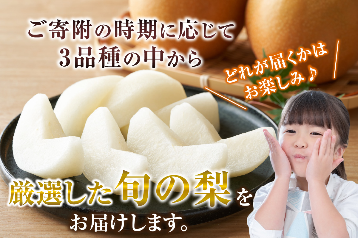 2026年産 先行予約【梨 （新興梨 王秋梨 愛宕梨のいずれか）3kg（5～9玉）】10月中旬～12月下旬にかけて発送予定 晩生品種 新興・王秋・愛宕  梨 なし ナシ 和梨 フルーツ 大人気 人気 甘い みずみずしい 果実 果物 新鮮 旬の果物 おすすめ ランキング 国産 香住  贈り物  贈答 ギフト 秋 冬 兵庫県 香美町 香住 JAたじま 9000円 12-06