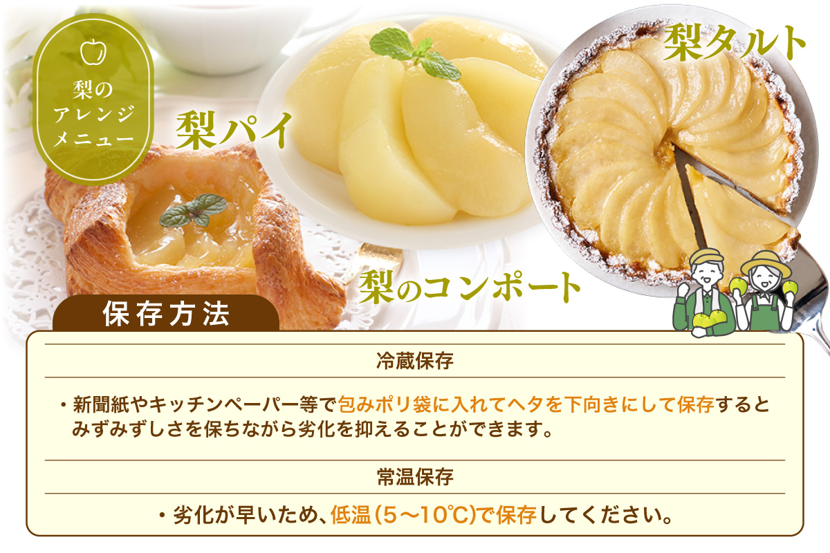 【2026年産 先行予約】20世紀梨 香住梨 5kg 小さめ 8月下旬～9月中旬にかけて発送予定 JAたじま 12-09