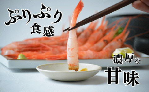 《12/21まで年内発送》【 甘えび えび 赤えび 刺身用 約30尾（約700g）兵庫県 香住産 冷凍 】 発送目安：入金確認後、順次発送予定 鮮度抜群 刺身 唐揚げ 海鮮丼 日本海 水揚げ 鮮度抜群 甘えび 船内 急速冷凍 漁師 新鮮 旨み 人気 ランキング ふるさと納税 返礼品 おすすめ 国産 兵庫県 香美町 香住 柴山 丸近 19-11