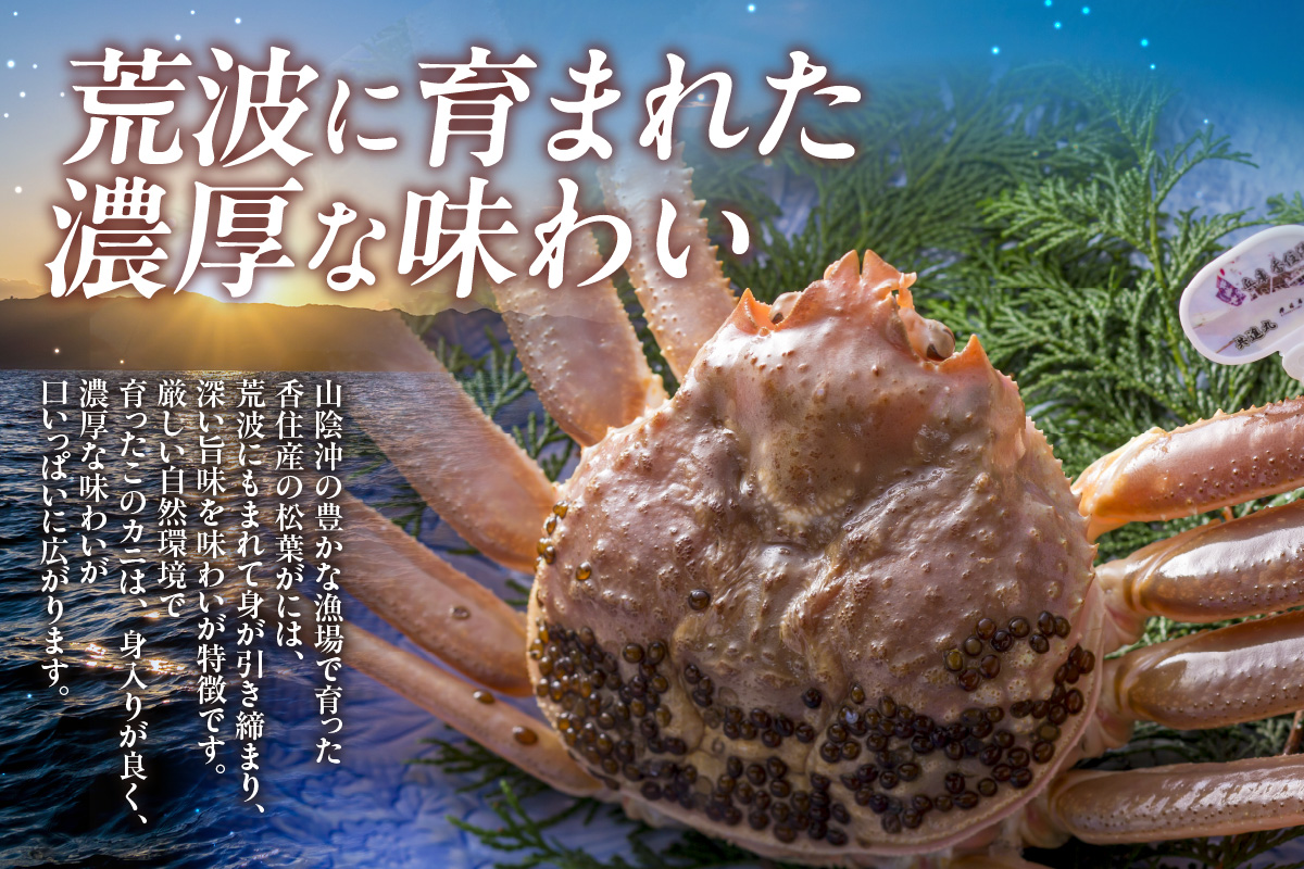 【先行予約】【訳あり茹で松葉ガニ3枚（冷凍）】令和8年2月以降配送予定 ※足が1～2本折れたカニが混じります カニの本場 香住で水揚げされた新鮮な活松葉ガニをお届け かに カニ 国産 刺身 しゃぶしゃぶ 焼きガニ 鍋 カニ鍋 かにすき 脚 足 爪 身 肩 ランキング 大人気 人気 兵庫県 香住 柴山 ズワイガニ  かに 宿院商店 53000円 33-38