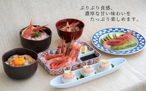 先行予約【兵庫県香住産 白いか 甘えび お刺身用セット 白いか（剣先いか）5～8杯（約1kg）甘えび30～40尾前後（約800g）冷凍】 令和8年6月下旬以降、順次発送予定 鮮度抜群 短時間で急速冷凍 白イカ 甘エビ 刺身 セット 詰合せ 国産 産地直送 新鮮 海鮮 ふるさと納税　おすすめ 返礼品 兵庫県 香美町 香住 宿院商店 28000円 33-05