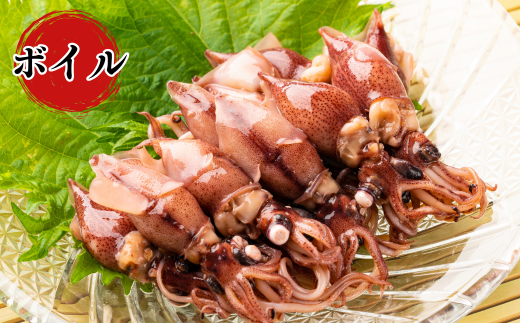 【先行予約】【ほたるいか バラエティーセット5種 合計980g 香住産 冷凍】令和8年3月下旬以降順次発送予定 刺身用ホタルイカ（250g×2）、ボイルホタルイカ（200g×1）、ホタルイカ醤油漬け（200g×1）、ホタルイカ素干し（40g×1）、ホタルイカみりん干し（40g×1）鮮度抜群 ホタルイカ加工品セット 酒の肴 おつまみ 兵庫県 香美町 香住 宿院商店 33-06