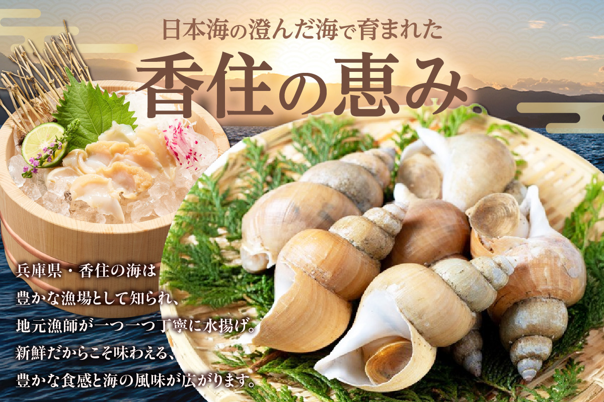 【バイ貝 刺身用 香住産 150g×4P 冷凍】※発送目安：ご入金確認後、順次発送します。香住で水揚げされる赤バイ（エゾボラモドキ）、白バイ（エッチュウバイ）の2種類をお刺身用に加工しました。殻を取り除いて薄く切ってあります。解凍後、そのままお刺身でお召し上がり頂けます。煮つけ、炒め物、酢の物などもおススメ。兵庫県 香美町 香住 ふるさと納税 宿院商店 15000円 33-17