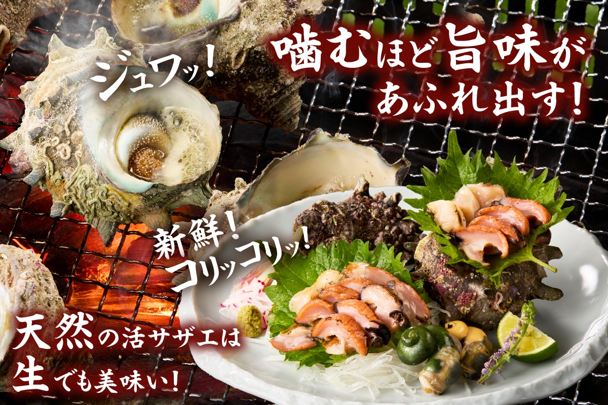 【兵庫県香住産 天然 活 サザエ 2kg（14～20個）冷蔵】香住で水揚げされた新鮮なサザエをお届け つぼ焼き 炊き込みご飯 サザエ飯 酒の肴 磯の香り 風味豊か さざえ 新鮮 天然 海鮮 大人気 夏休み BBQ バーベキュー キャンプ お盆 海 日本海 兵庫県 香美町 香住 柴山 宿院商店 33-20