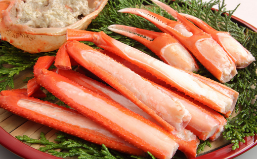 【兵庫県香住産 釜茹で香住ガニ（紅ズワイガニ）2～3匹 冷凍】新鮮な香住ガニ 絶妙な塩加減で茹で上げ ミネラル豊富 甘みがあってとても美味しい 関西では「香住漁港」だけしか水揚げを許可されていない特産品 足が1～2本折れたカニが混ざる場合がございます おすすめ 日本海 兵庫県 香美町 宿院商店 33-22