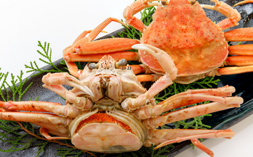 【兵庫県香住産 釜茹でセコガニ 6～10匹 約1.2kg 冷蔵】カニの本場兵庫県香美町 香住漁港 柴山漁港で水揚げ 釜茹でのプロが茹で上げ セコ蟹は松葉ガニのメス プチプチ外子 濃厚な内子 漁期がわずか2カ月間 貴重な海の幸 コッペガニ 香箱蟹 親ガニ 水揚げ当日に茹でたてを発送 到着すぐそのままお召し上がり頂けます 日本海 宿院商店 42000円 33-23