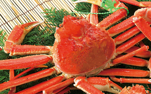 【先行予約】【香住産 釜茹で松葉ガニ 1匹（約600～700g）冷凍】11月中旬以降配送予定 香住で水揚げされた新鮮な松葉ガニを熟練の職人が茹で上げ。産地証明のタグ付き松葉ガニ カニの本場 香住 新鮮 国産 鍋 かにすき 脚 足 爪 身 肩 大人気 ふるさと納税 兵庫県 香美町 香住 柴山ガニ ズワイガニ 宿院商店 68000円 33-25