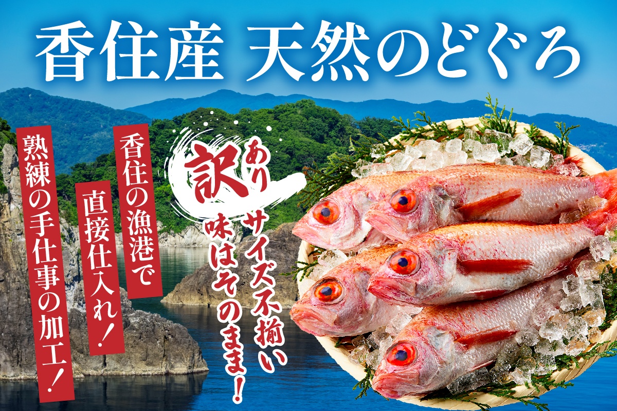 【兵庫県香住産 処理済 のどぐろ大3匹 1匹約250g前後 計約700～800g 冷凍】令和8年3月下旬以降、順次発送予定 日本海 生冷凍 鮮度抜群 急速冷凍 白身のトロ 産地直送 兵庫県 香美町 香住 柴山 山陰 大人気 おすすめ 宿院商店 33-31