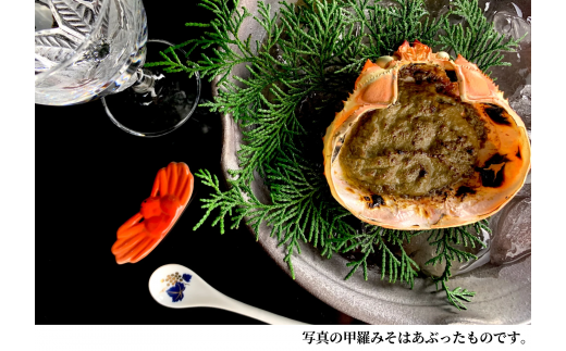 【香住ガニ 釜茹で香住ガニ1杯（500g～600g） 自家製濃厚蟹みそ1個（40g）セット 冷蔵】カニの水揚げ次第順次発送予定 配送日指定不可 本場 香住 ベニズワイガニ ふるさと納税 兵庫 香美 カニ 蟹 かに 甲羅みそ かにみそ カニ身 職人が見極めて手作業で炊き上げ 冷凍保存無し ミシュラン星付きレストランからも注文あり カネリョウ 25000円 39-01