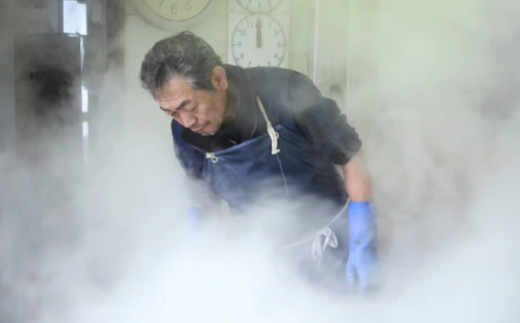 【釜屋の松葉がに（1杯あたり700～900g）脚カット、ほぐし身、蟹みそ1杯分と紅ずわいがにの自家製濃厚蟹みそ1個（40g）－饗宴－ 冷蔵】令和7年11月中旬以降順次発送予定 ふるさと納税 カニの本場 香住 ベニズワイガニ 兵庫県 香美町 カニ 甲羅みそ かにみそ ボイル カニ身 脚 カット 職人が見極めて手作業で炊き上げ 一切冷凍保存を行わない カネリョウ 120000円 39-04