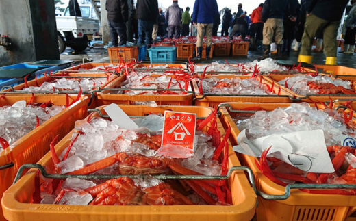 【釜茹で香住ガニ 2～3杯（1.6～1.8kg分）冷凍】配送日時指定可 国産 香住 香住がに 紅ずわいがに 紅ズワイガニ カニ かに 蟹 ボイル 茹で おすすめ 兵庫県 香美町 今西食品 49-03