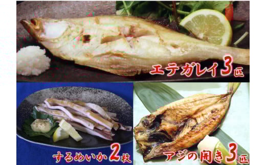 【一夜干し3点セット 産地直送】するめいか アジの開き エテガレイ  発送目安：入金確認後1ヶ月程度 兵庫県で水揚げされた3種の海産物を干物にしました 塩干物の命である塩にこだわり ミネラル分が多く含まれた天日海水塩で仕上げています 干物 日本海 兵庫県  香美町 香住  ハマダセイ 15000円 51-04