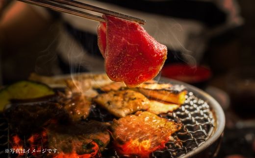 【神戸牛焼肉用（赤身）500g 冷凍】発送目安：入金確認後1ヶ月程度 ※配送日の指定はできません 大人気 人気ふるさと納税 返礼品 おすすめ ランキング しゃぶ 牛肉 ステーキ しゃぶしゃぶ すき焼き 焼肉   但馬 神戸 兵庫県  但馬牛  27000円 72-11