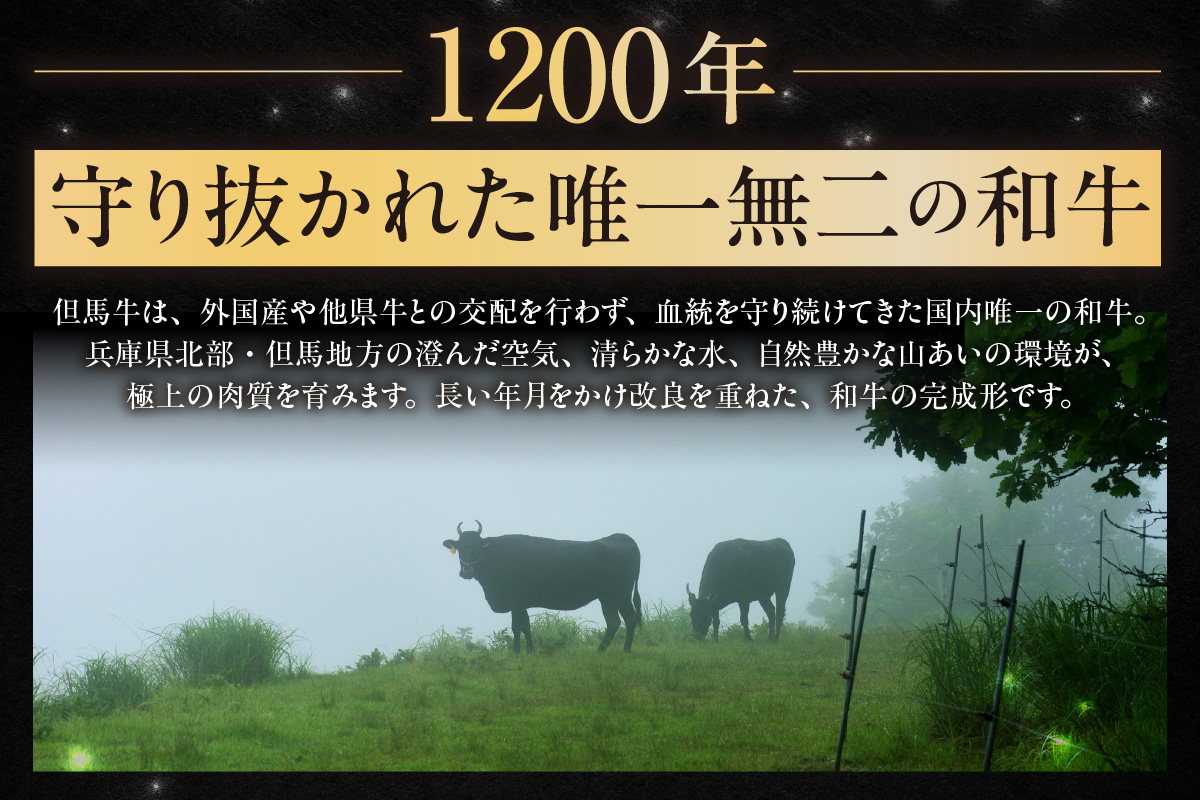 【但馬牛厚切りサーロインステーキ2枚（300g×2枚入り）合計600g】冷凍  牛肉 ステーキ 赤身 サシ 神戸 兵庫県 香美町 但馬ビーフはまだ  56000円 73-07