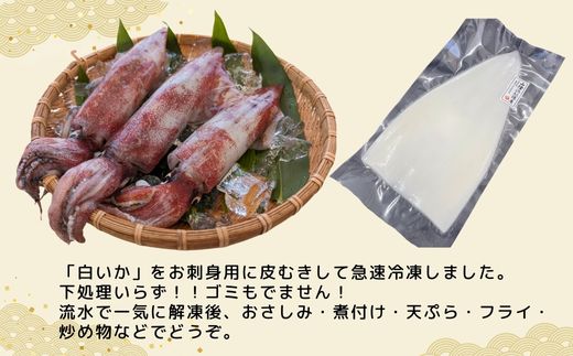 【柔らかくて甘い！お刺身用 白イカむき身 350g（冷凍）】ご入金確認後、水揚げ次第順次発送予定 下処理済み 産地直送 鮮度抜群 大人気 ふるさと納税 香美町 香住 送料無料 イカ 白いか  山米鮮魚 22000円 74-05