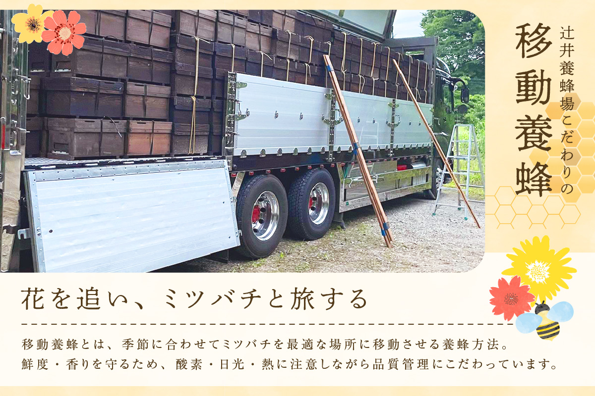 【国産純粋 百花はちみつ 250g ポリ容器】国産 純粋 百花 はちみつ ハチミツ 蜂蜜 紅茶 パン ヨーグルト おすすめ 兵庫県 香美町 辻井養蜂場 81-02