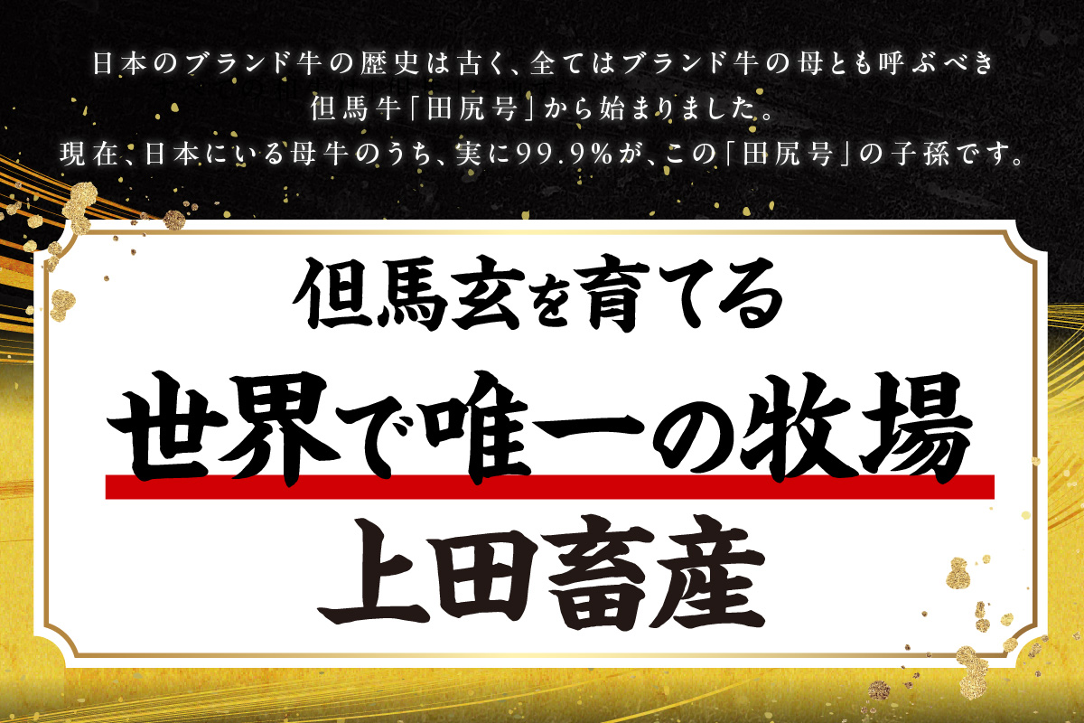 【究極の但馬牛 “但馬玄” メンチカツ】冷凍 配送日指定不可 但馬玄 あっさり 脂 最高級 但馬牛 和牛 牛肉 挽肉 ひき肉 小分け メンチカツ 時短 惣菜 おかず 弁当 お惣菜 夕飯 晩御飯 料理 冷凍食品 フライ 揚げ物 大人気 おすすめ ふるさと納税 返礼品 兵庫県 香美町 村岡 上田畜産 TJM 22000円 01-03