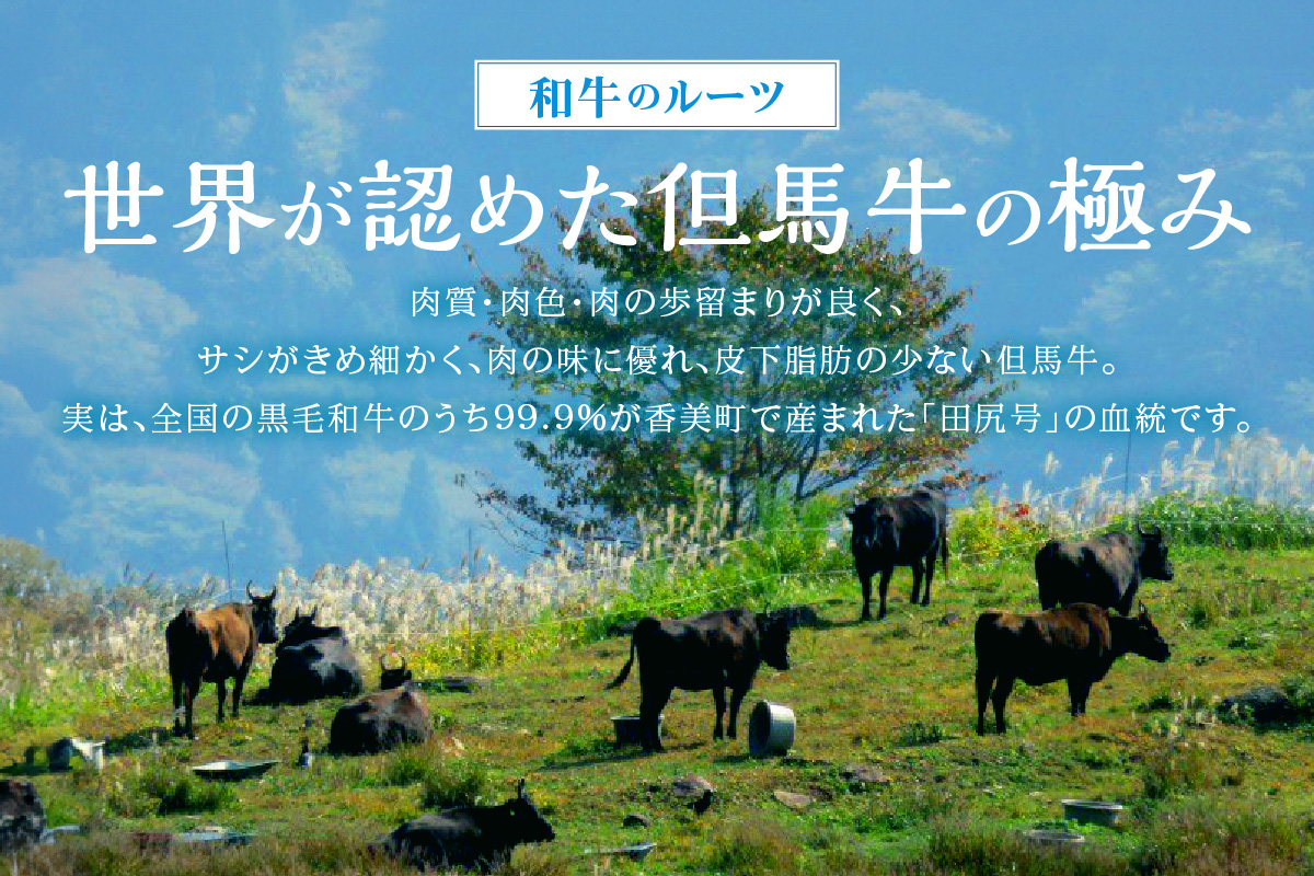 訳あり 但馬牛 特製たれ漬け 焼肉ミックス 1kg 冷凍 牛肉 香美町 02-39