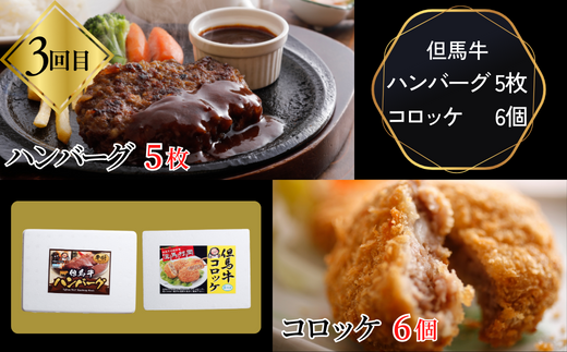 【但馬牛肉プレミアム定期便（計5回）】※月に1回お届け。配送日の指定はできません。日本の黒毛和牛のルーツは香美町にあり 但馬牛は神戸牛、仙台牛、飛騨牛のルーツ牛 大人気 サーロイン ロース カルビ ヒレ 牛肉 焼肉 すき焼き しゃぶしゃぶ ステーキ ハンバーグ コロッケ 切り落とし 赤身 ブランド 和牛 但馬 神戸 香美町 村岡 但馬牛専門店 牛将村岡ファームガーデン 260,000円 02-30
