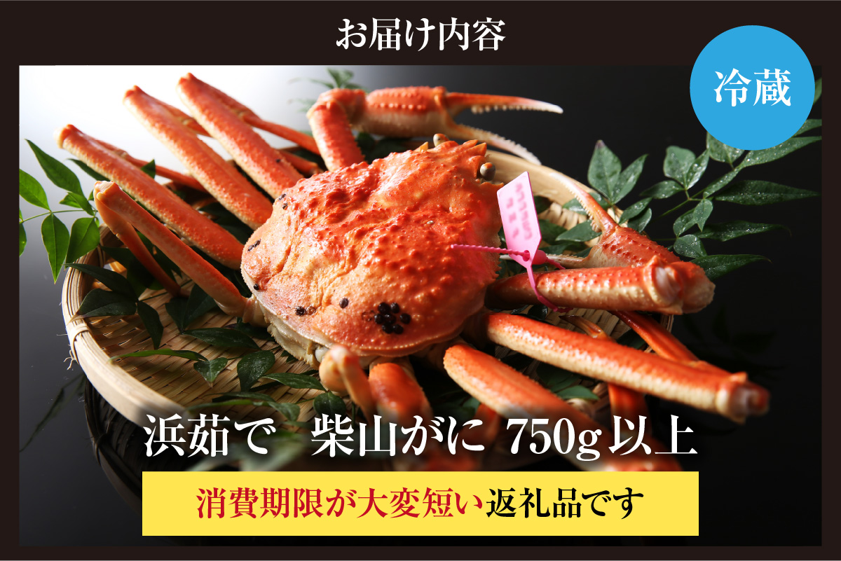 【先行予約】【カネニの浜茹で柴山がに 750g以上】令和7年11月中旬以降、水揚げ次第順次発送予定 冷蔵 高級 ふるさと納税 かにすき 焼きガニ カニ ボイル 兵庫県 香美町 香住 柴山 カネニ 06-20
