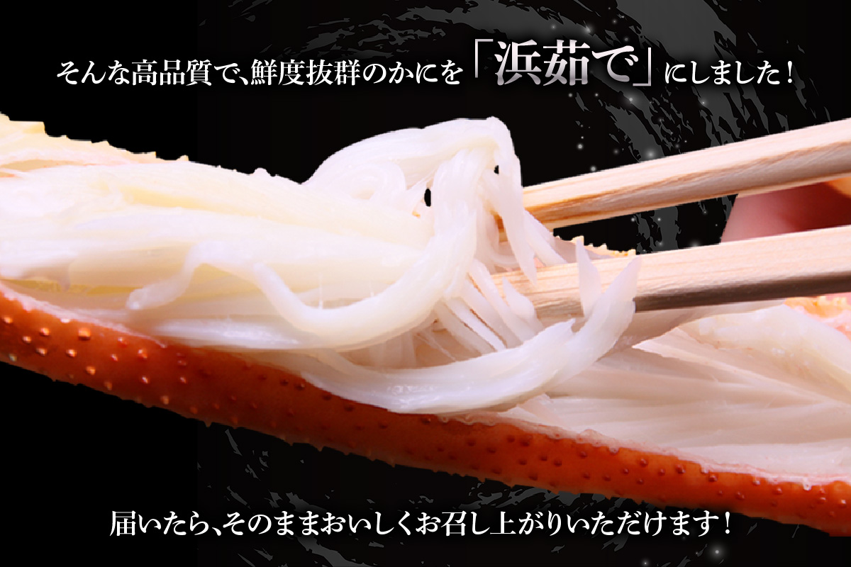 【先行予約】【カネニの浜茹で柴山がに 柴山シルバータグ付き ボイル後1.15kg以上】 令和7年11月中旬以降、水揚げ次第順次発送予定 冷蔵 高級 かにすき 焼きガニ カニ ボイル 兵庫県 香美町 香住 柴山 カネニ 06-23