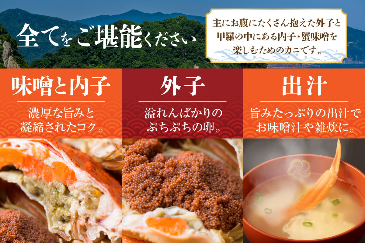 セコガニ 訳あり 約120g×10匹 冷凍 かに カニ 香美町 07-117 10匹