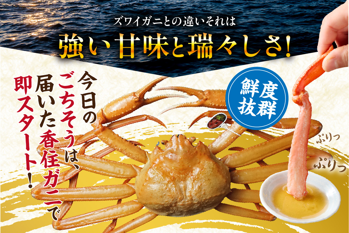 【先行予約】【香住ガニ 活〆タグ付き香住ガニ 超特大 約1.2kg×2匹（合計約2.4kg以上）生冷凍】令和8年2月中旬以降、順次発送予定 大人気 おすすめ ランキング 国産 カニの本場 香住 急速冷凍 ベニズワイガニ カニ かに 香美 しゃぶしゃぶ 刺身 かにすき 焼きガニ 蟹 兵庫県 香美町 香住 日本海フーズ 07-136