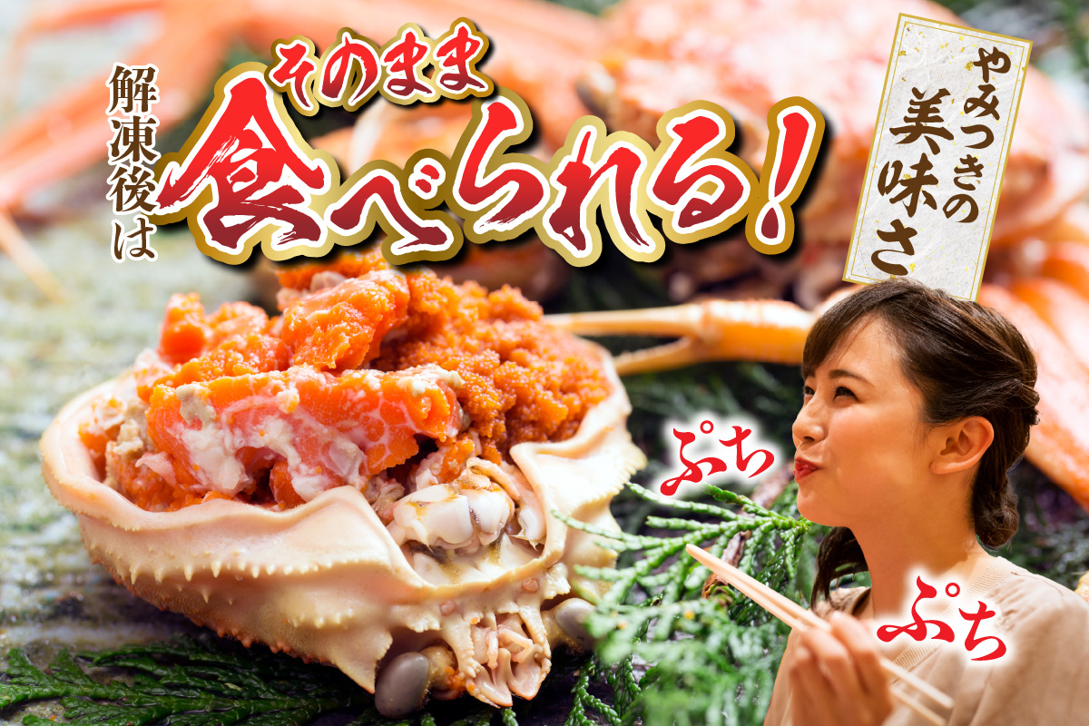 【セコガニ 訳あり（欠足 キズ 汚れなど）約120g×8匹 冷凍】濃厚 かにミソ 内子 外子 産地直送 鮮度抜群 国産 カニ かに 蟹 松葉ガニ せいこがに メスガニ 親ガニ ふるさと納税 おすすめ 返礼品 兵庫県 香美町 香住 日本海フーズ にしとも かに市場 18000円 07-09 ☆