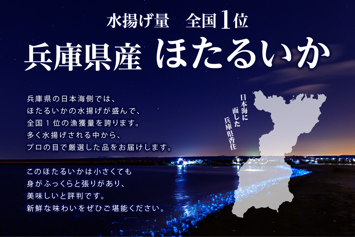 兵庫県香住産 訳あり ほたるいか 素干し 120g（60g×2袋） 日本海フーズ 07-112 60g×2袋