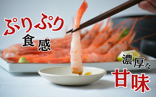 【兵庫県産 天然 甘エビ 刺身用 15尾×2パック（1パック15尾入り）冷凍】発送目安：入金確認後1ヶ月程度 殻むき処理済 えび 人気 おすすめ 兵庫県 香美町 モリタ食品 10-12