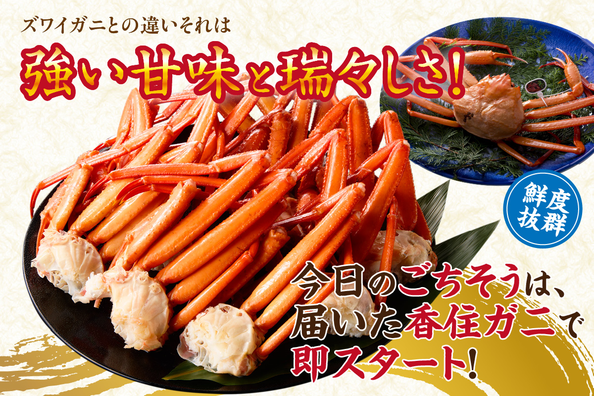 訳あり 茹切 香住ガニ7～9肩（約1kg）冷蔵 かに マルヤ 11-17