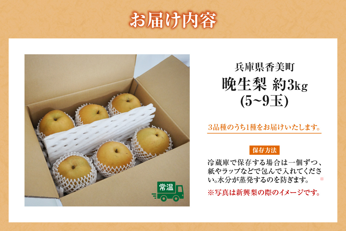 2026年産 先行予約【梨 （新興梨 王秋梨 愛宕梨のいずれか）3kg（5～9玉）】10月中旬～12月下旬にかけて発送予定 晩生品種 新興・王秋・愛宕  梨 なし ナシ 和梨 フルーツ 大人気 人気 甘い みずみずしい 果実 果物 新鮮 旬の果物 おすすめ ランキング 国産 香住  贈り物  贈答 ギフト 秋 冬 兵庫県 香美町 香住 JAたじま 9000円 12-06