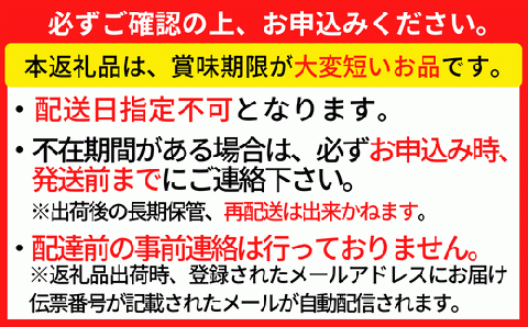 【訳あり 浜茹で セコガニ 香住産 大サイズ4匹入り 冷蔵】カニの本場 香住 濃厚なかにミソとやみつきになる内子、外子が絶品です 訳あり理由：指落ち1～2本 大人気 ふるさと納税 濃厚 香美町 柴山 山陰 日本海 国産 カニ ズワイガニ 松葉ガニ せいこがに メスガニ  爪 ほぐし ボイル 脚 鮮度抜群 絶妙の塩加減での茹で上げ 丸近 18000円 19-10