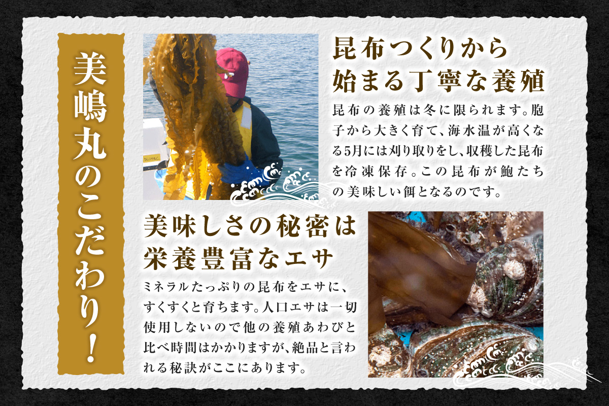 【干しあわび 3個入り 中サイズ 冷凍】発送目安：入金確認後2週間以内 国産 香住 山陰 アワビ 鮑 あわび 乾燥 乾燥あわび 干し鮑 中華料理 高級食材 縁起物 兵庫県 香美町 美嶋丸 20-14