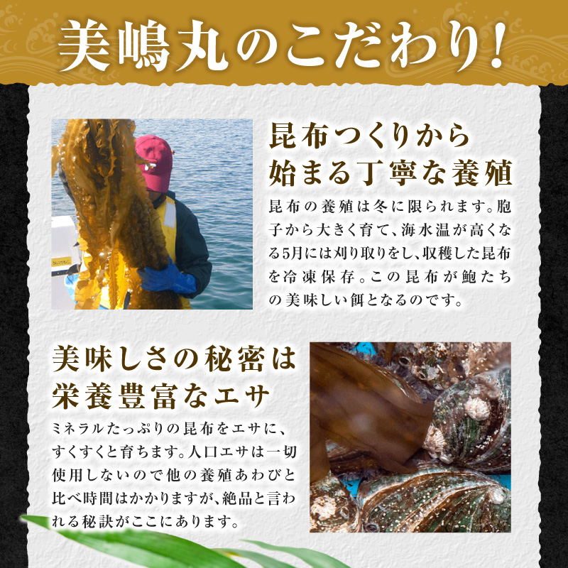 【干しあわび 3個入り 大サイズ 冷凍】発送目安：入金確認後2週間以内 国産 香住 山陰 アワビ 鮑 あわび 乾燥 乾燥あわび 干し鮑 中華料理 高級食材 縁起物 兵庫県 香美町 美嶋丸 20-15