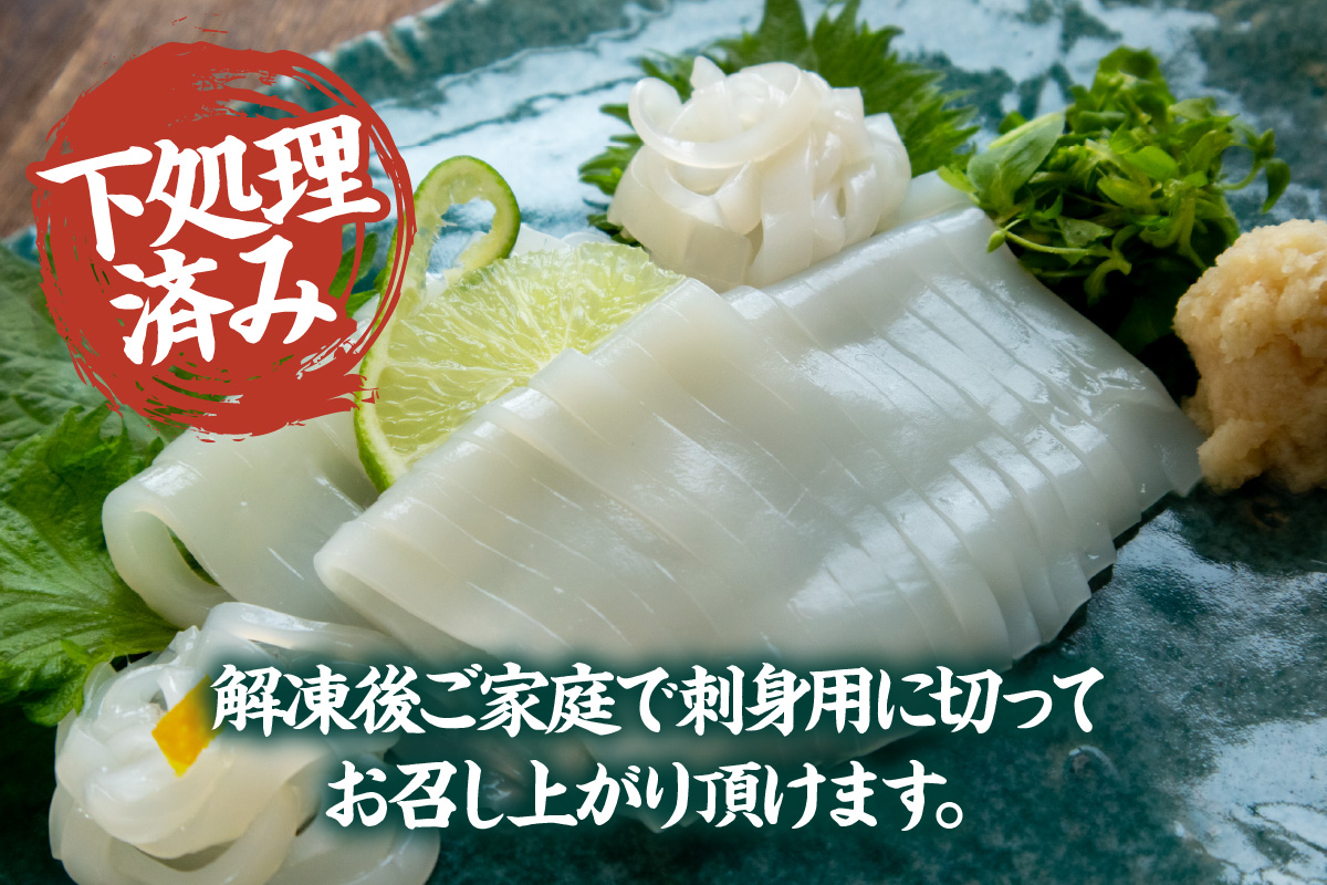 先行予約【刺身用白いかむき身　約350g 冷凍】令和8年6月下旬以降、順次発送予定 いか イカ 白いか 剣先イカ 刺身 新鮮 鮮度抜群 酒の肴 おつまみ 人気 おすすめ 兵庫県 香美町 香住 宿院商店 33-32