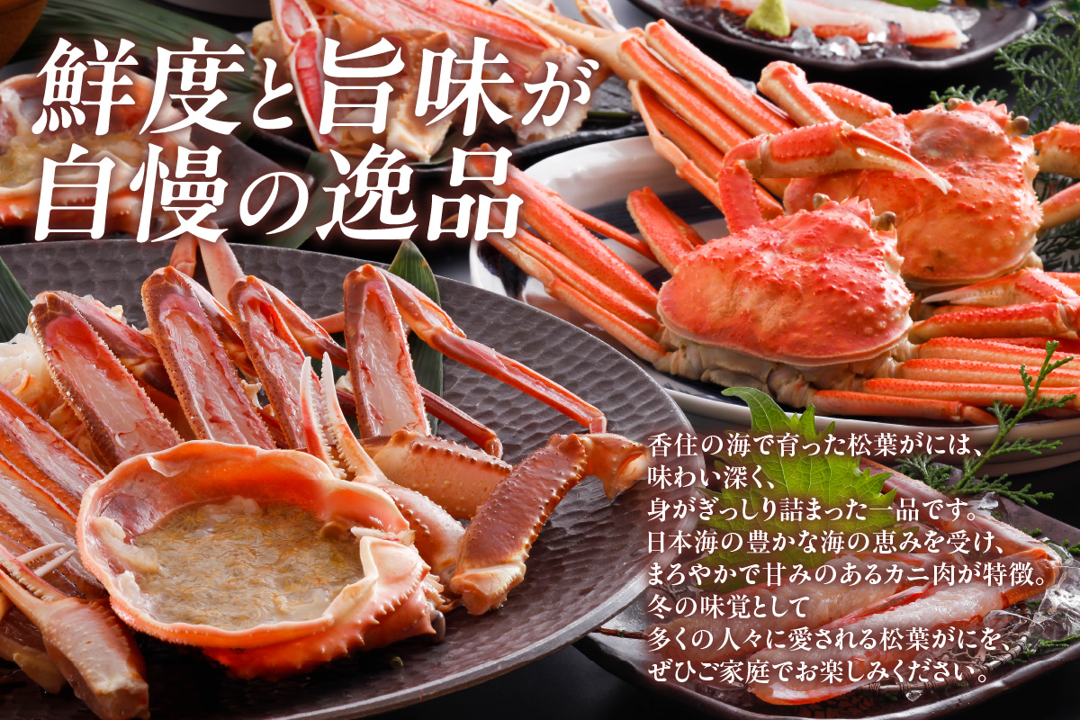 【先行予約】【訳あり茹で松葉ガニ3枚（冷蔵）】令和8年2月以降配送予定 ※足が1～2本折れたカニが混じります カニの本場 香住で水揚げされた新鮮な活松葉ガニをお届け かに カニ 蟹 国産 刺身 しゃぶしゃぶ 焼きガニ 鍋 カニ鍋 かにすき 脚 足 爪 身 肩 ランキング 大人気 人気  兵庫県 香住 柴山 ズワイガニ  かに 宿院商店 53000円 33-37