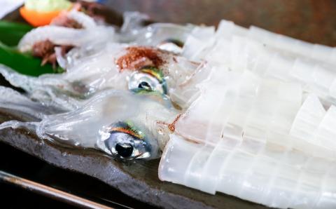 先行予約【兵庫県香住産 白いか 甘えび お刺身用セット 白いか（剣先いか）5～8杯（約1kg）甘えび30～40尾前後（約800g）冷凍】 令和8年6月下旬以降、順次発送予定 鮮度抜群 短時間で急速冷凍 白イカ 甘エビ 刺身 セット 詰合せ 国産 産地直送 新鮮 海鮮 ふるさと納税　おすすめ 返礼品 兵庫県 香美町 香住 宿院商店 28000円 33-05